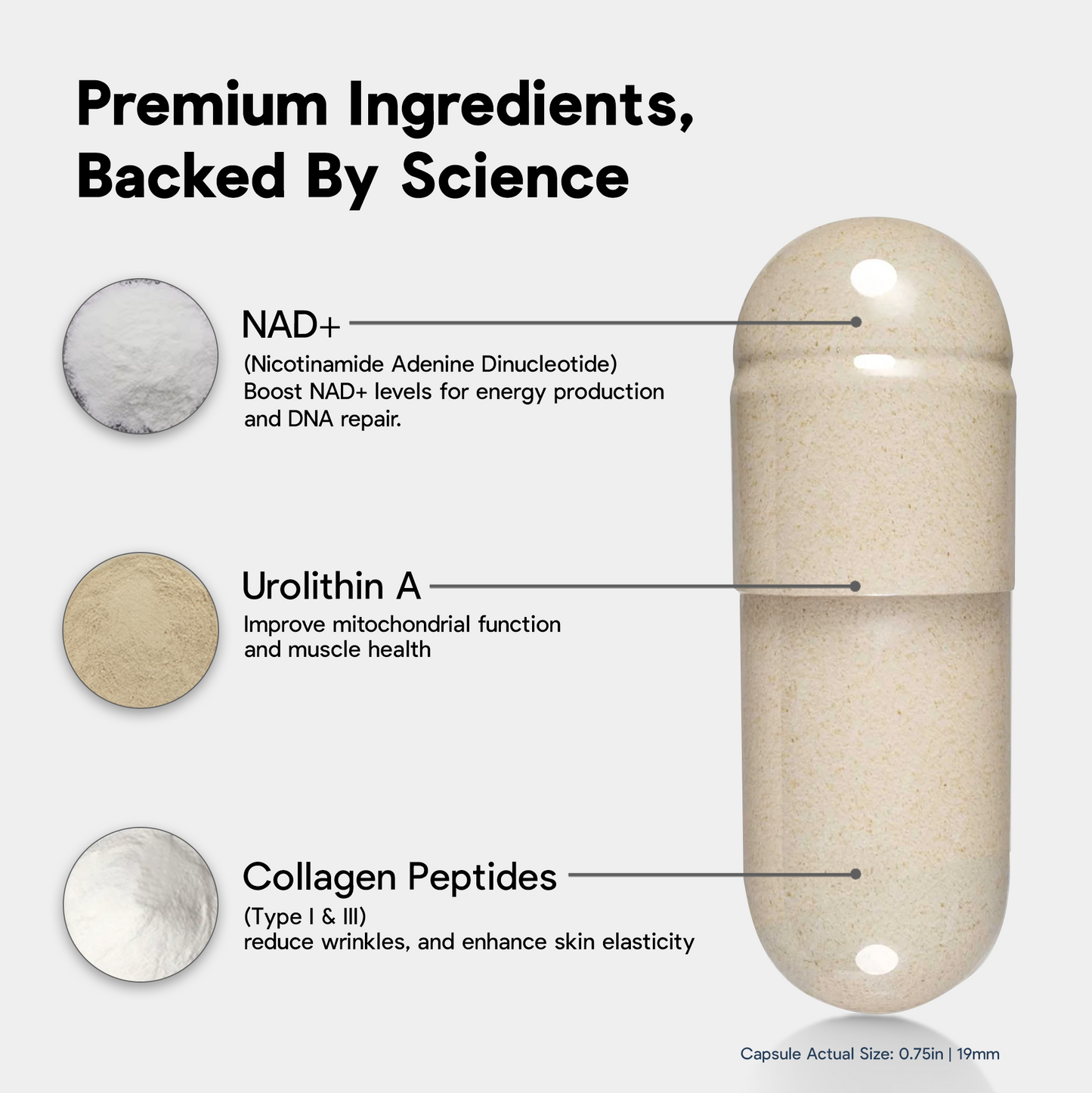 NAD+ 1000MG - Deep Skin Anti-Aging - with Collagen Peptites - Made in USA, 60 Vegan Capsules