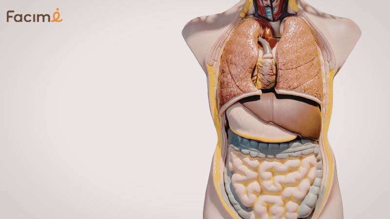 Nurturing your wellness with magnesium glycinate foods