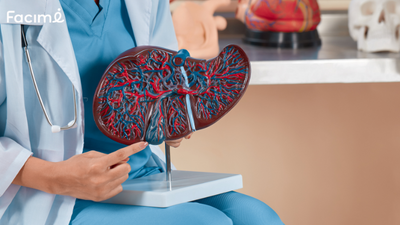 The liver’s natural role