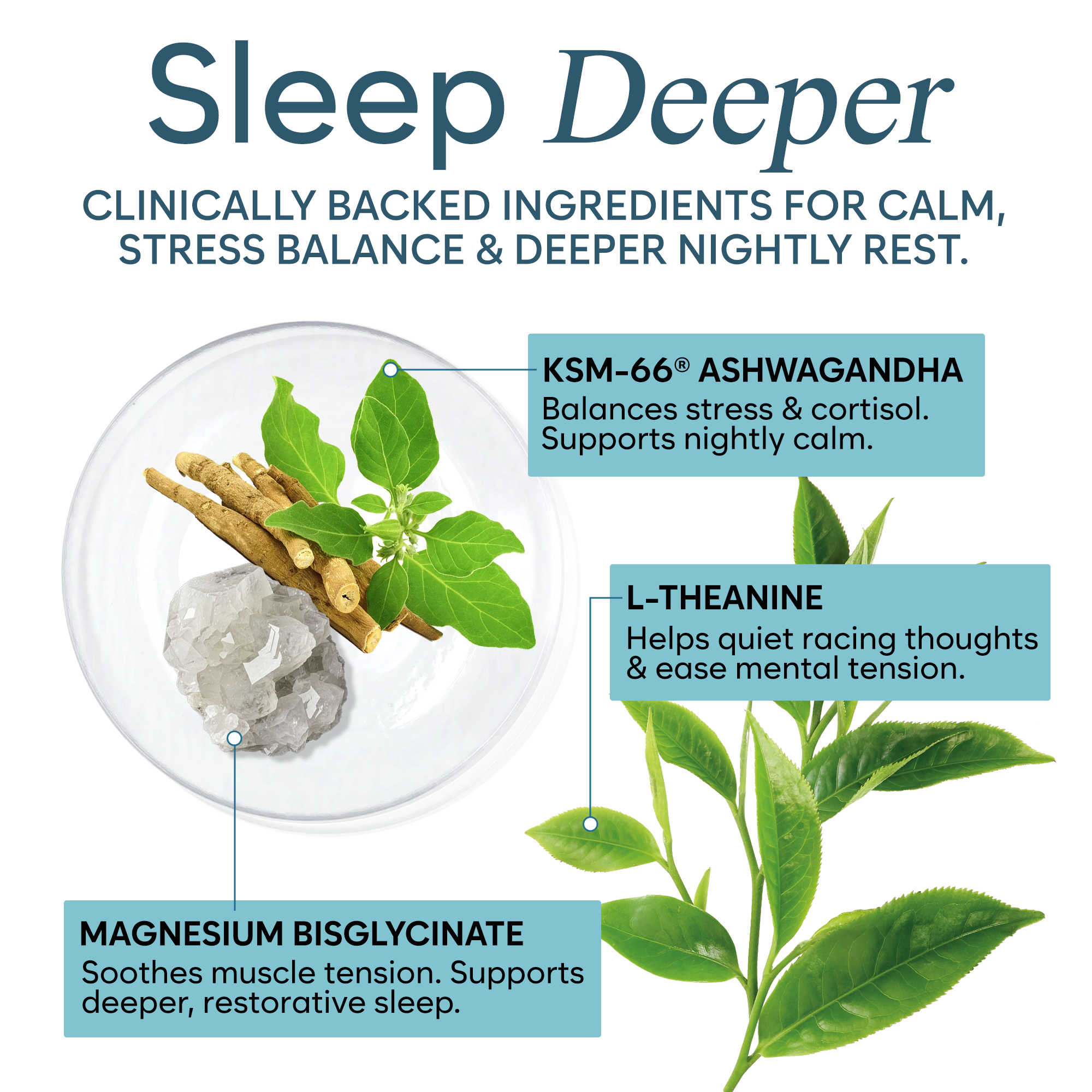 Sleep and Stress - Premium Chelated Magnesium Glycinate with Ashwagandha & GABA - Deep Stress Recovery & Sleep Quality, Muscle Relaxation - Made in USA - 90 Capsules
