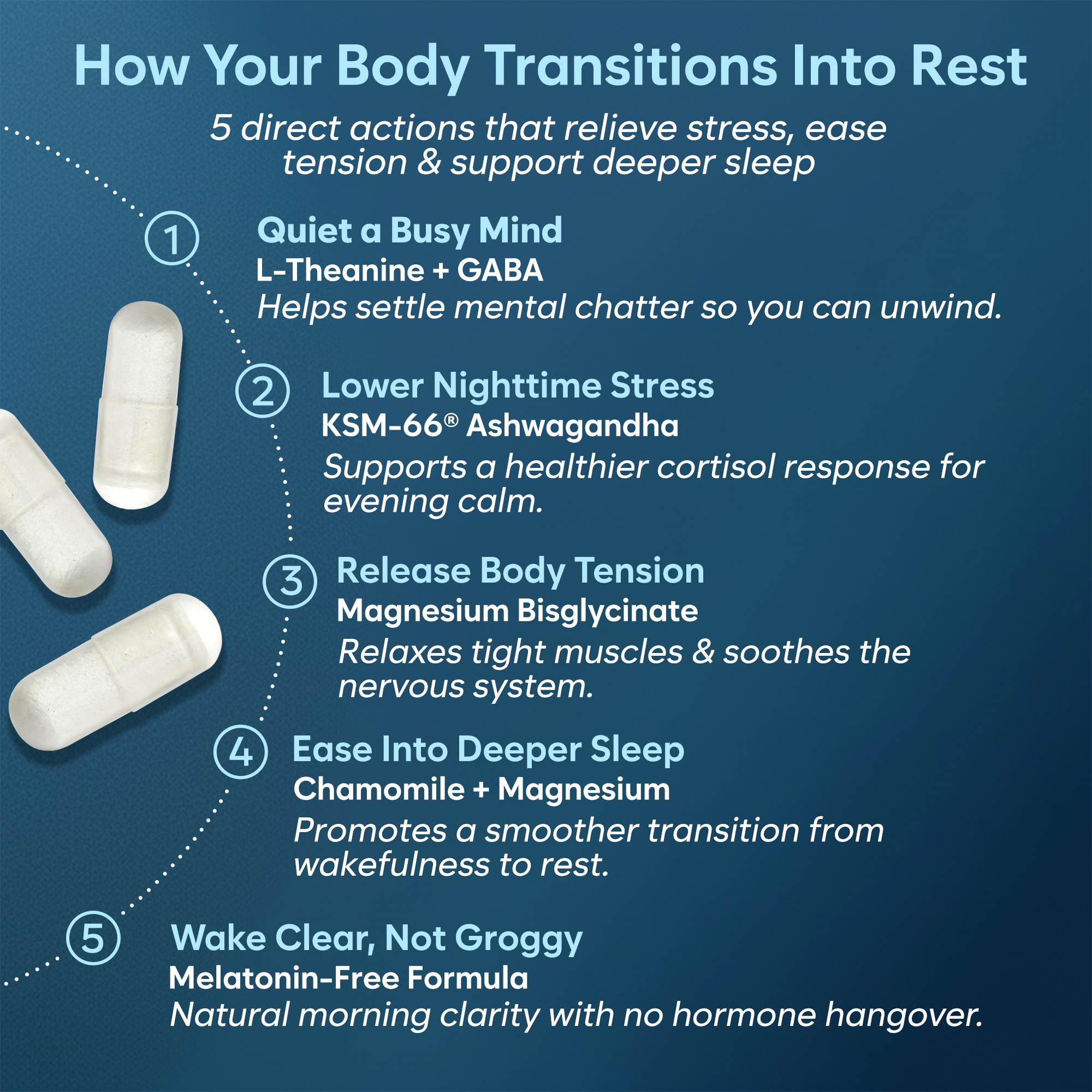 Sleep and Stress - Premium Chelated Magnesium Glycinate with Ashwagandha & GABA - Deep Stress Recovery & Sleep Quality, Muscle Relaxation - Made in USA - 90 Capsules