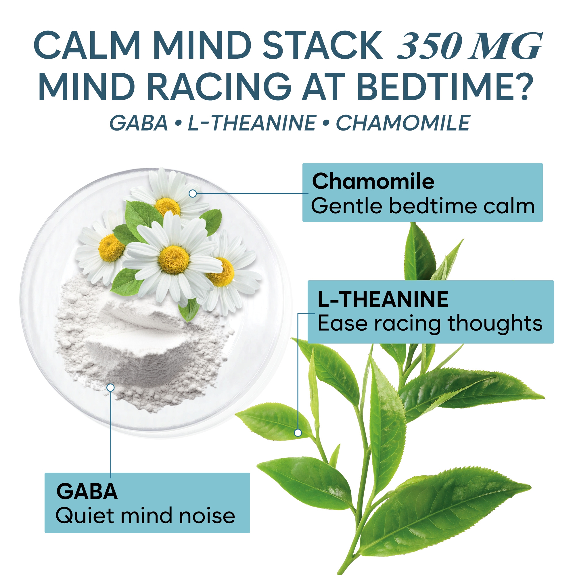 Natural Chelated Magnesium Glycinate Sleep Aid - Melatonin-Free Sleep & Stress Relief with KSM-66 Ashwagandha, GABA, L-Theanine & Chamomile for Muscle Relaxation - Made in USA