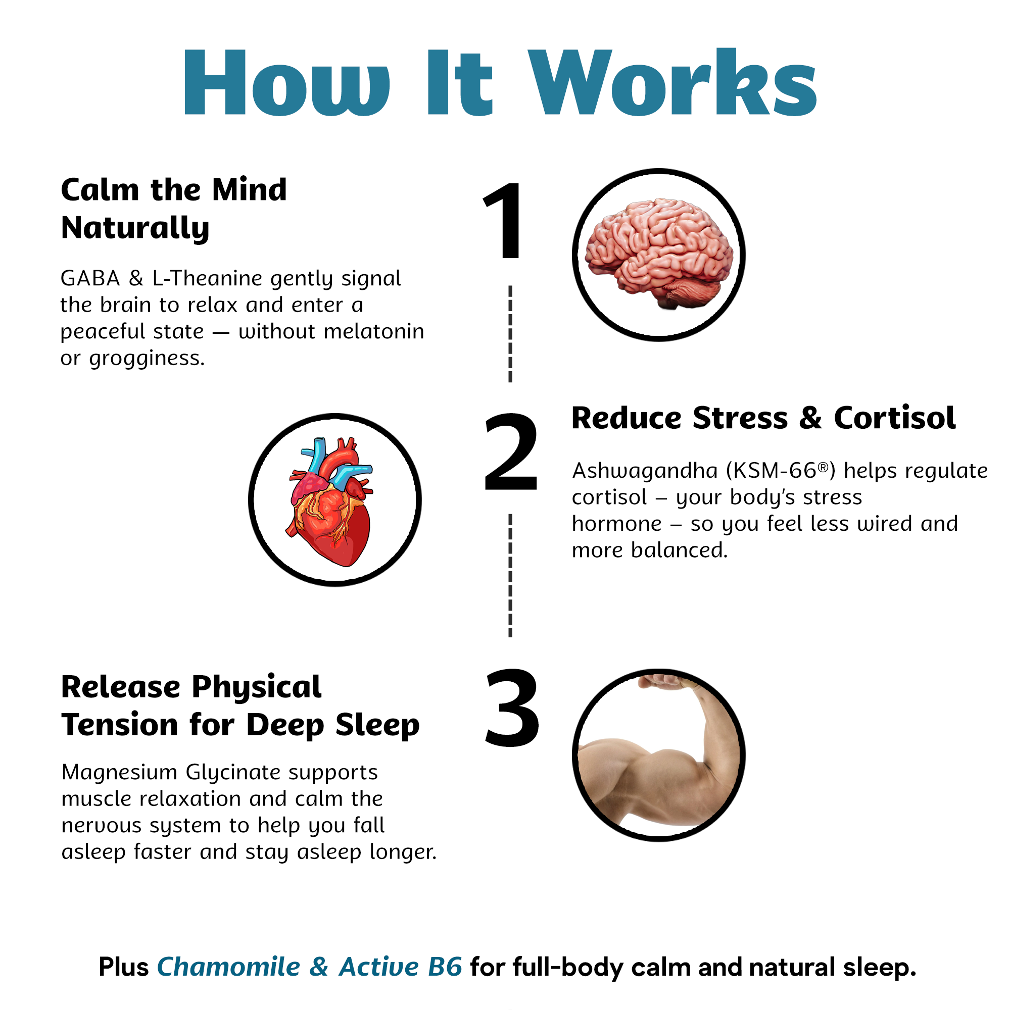Stress and Sleep - Premium Chelated Magnesium Glycinate with Ashwagandha & GABA - Deep Stress Recovery & Sleep Quality - Made in USA - 90 Capsules