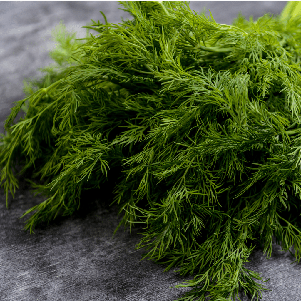 Black Walnut Wormwood Parasite Cleanse